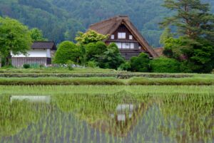 世界遺産 白川郷 — World Heritage Village —