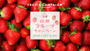 紅白大粒いちごが当たる！《1月27日～2月24日》